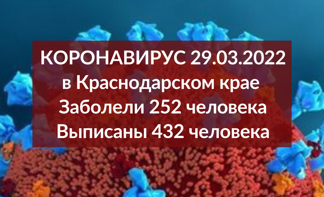 За сутки на Кубани подтвердили 252 случая коронавируса